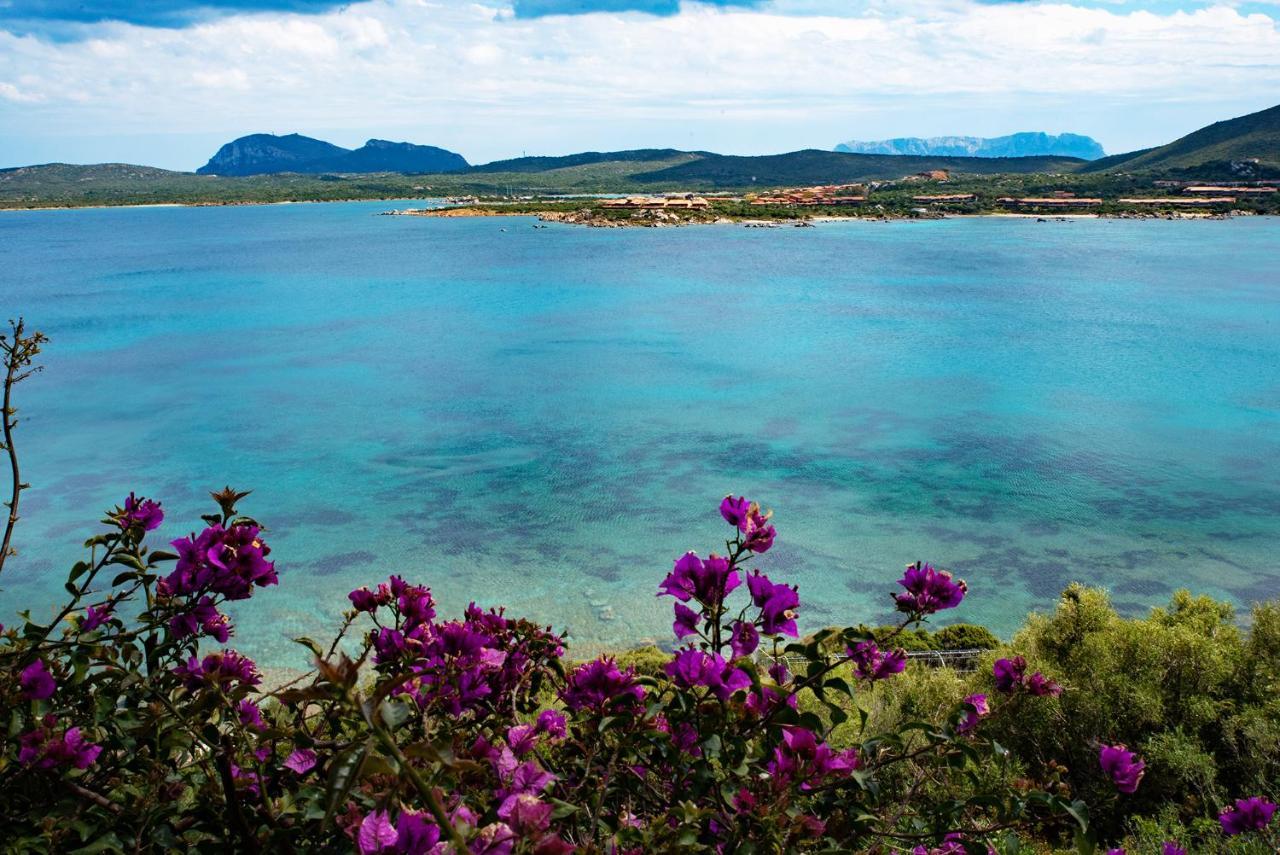 Casa Valery Wonderful Sea View Porto Rotondo Exterior foto