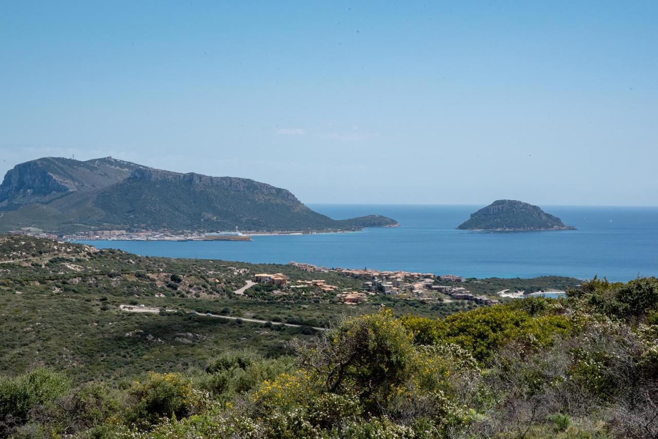 Casa Valery Wonderful Sea View Porto Rotondo Exterior foto