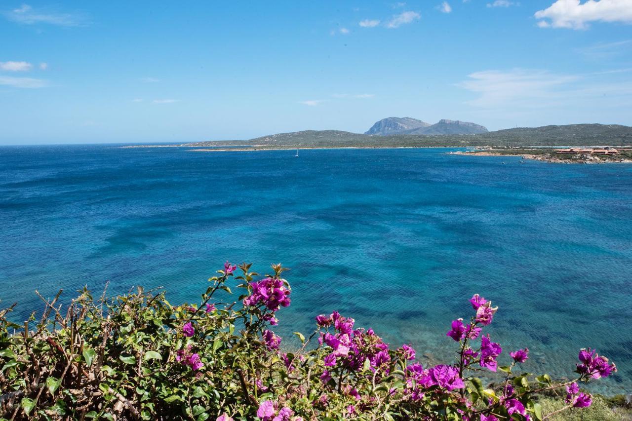 Casa Valery Wonderful Sea View Porto Rotondo Exterior foto